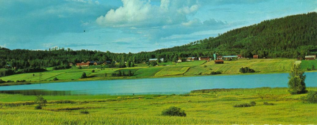 Mossbergsjön med Ekesberget i bakgrunden, låg Ekshärads centrum här för länge sedan???